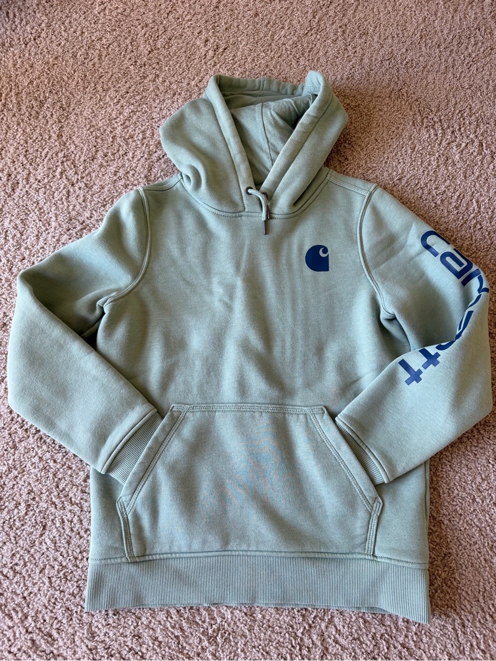 Carhartt Sage Green Hoodie with Navy Logo